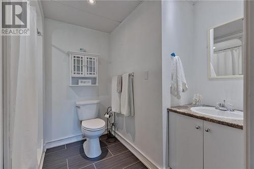 24 Karmack Haven Road, Golden Lake, ON - Indoor Photo Showing Bathroom