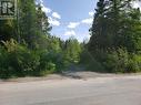 35-3 Angle Brook Road, Glovertown, NL 