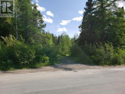 35-3 Angle Brook Road, Glovertown, NL 