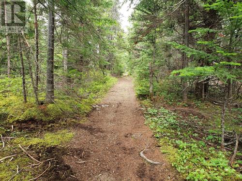 35-3 Angle Brook Road, Glovertown, NL 