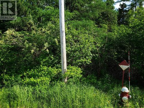 35-3 Angle Brook Road, Glovertown, NL 