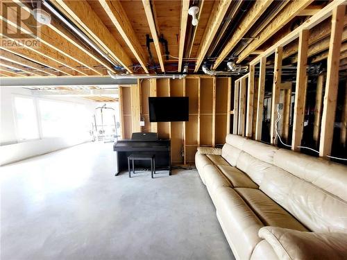 162 Conner Drive, Gananoque, ON - Indoor Photo Showing Basement