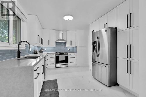 72 Lynngate Court, London, ON - Indoor Photo Showing Kitchen With Double Sink With Upgraded Kitchen