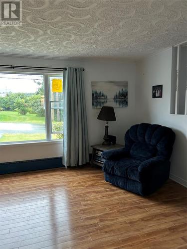 596 Main Road, Pouch Cove, NL - Indoor Photo Showing Living Room