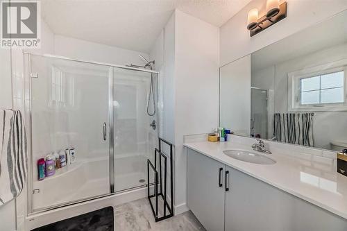 114 Midgrove Greenway Sw, Airdrie, AB - Indoor Photo Showing Bathroom