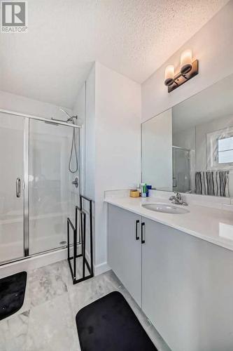 114 Midgrove Greenway Sw, Airdrie, AB - Indoor Photo Showing Bathroom