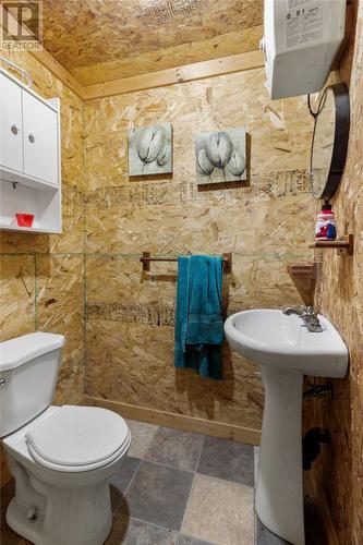 222 Northside Road, Calvert, NL - Indoor Photo Showing Bathroom