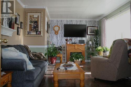 10 Pynns Pond Road, Irishtown-Summerside, NL - Indoor Photo Showing Living Room