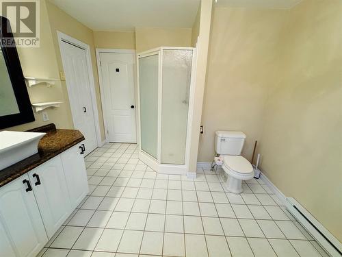 35 Thomas Street, Grand Falls- Windsor, NL - Indoor Photo Showing Bathroom