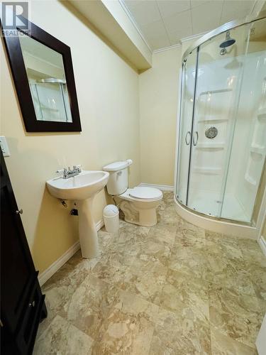 35 Thomas Street, Grand Falls- Windsor, NL - Indoor Photo Showing Bathroom