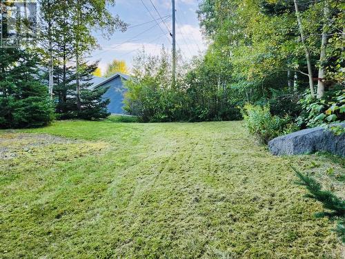 35 Thomas Street, Grand Falls- Windsor, NL - Outdoor