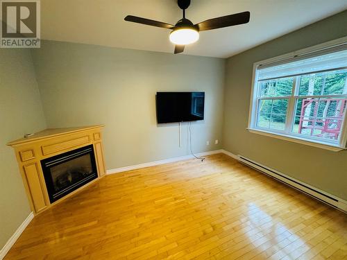 35 Thomas Street, Grand Falls- Windsor, NL - Indoor Photo Showing Other Room With Fireplace