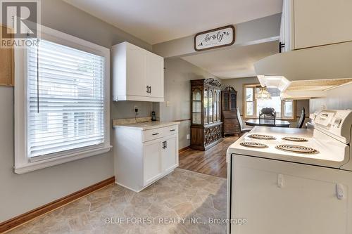 226 Oakland Avenue, London, ON - Indoor Photo Showing Kitchen