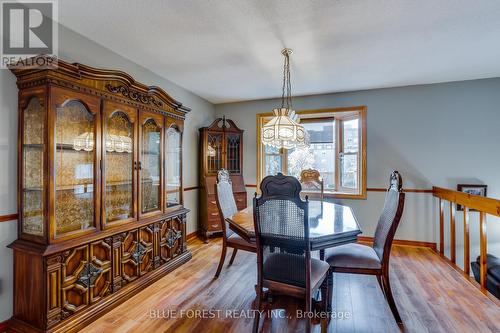 226 Oakland Avenue, London, ON - Indoor Photo Showing Dining Room