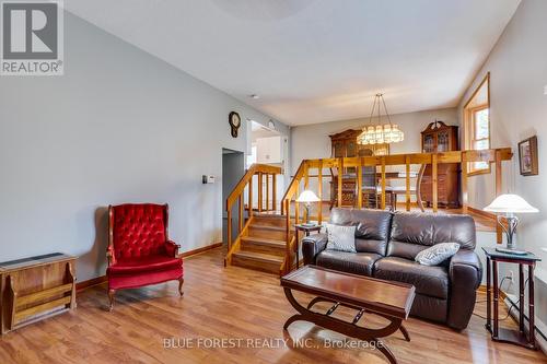 226 Oakland Avenue, London, ON - Indoor Photo Showing Living Room