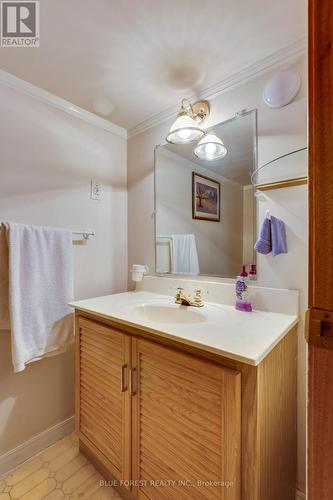 226 Oakland Avenue, London, ON - Indoor Photo Showing Bathroom