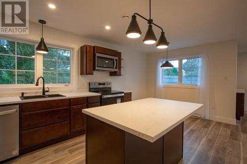 173 Harvey Street, Harbour Grace, NL - Indoor Photo Showing Kitchen With Double Sink