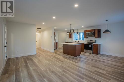 173 Harvey Street, Harbour Grace, NL - Indoor Photo Showing Kitchen