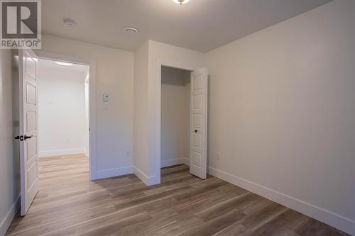 173 Harvey Street, Harbour Grace, NL - Indoor Photo Showing Other Room