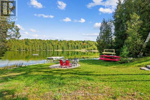 169 Dutch Line Road W, Galway-Cavendish And Harvey, ON - Outdoor With View