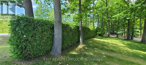 5137 Boundary Road E, Hamilton Township (Bewdley), ON - Outdoor