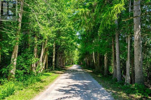 120 Second Line, Otonabee-South Monaghan, ON - Outdoor