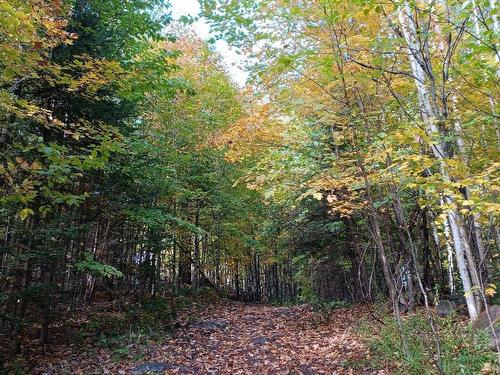 Terre/Terrain - Rang 1, Lac-Des-Plages, QC 