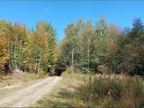 Terre/Terrain - Rang 1, Lac-Des-Plages, QC 