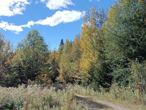 Terre/Terrain - Rang 1, Lac-Des-Plages, QC 