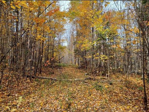 Terre/Terrain - Rang 1, Lac-Des-Plages, QC 