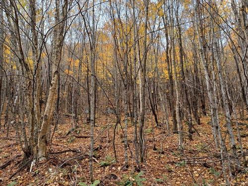 Terre/Terrain - Rang 1, Lac-Des-Plages, QC 