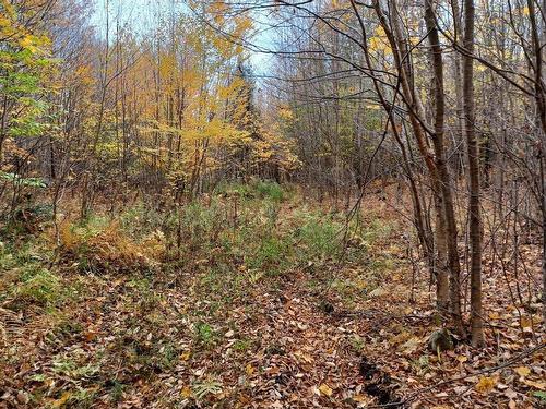 Terre/Terrain - Rang 1, Lac-Des-Plages, QC 