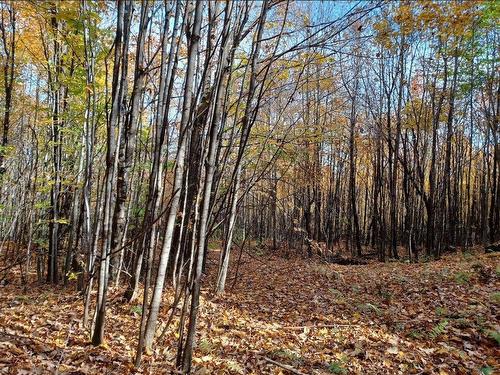 Terre/Terrain - Rang 1, Lac-Des-Plages, QC 