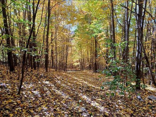 Terre/Terrain - Rang 1, Lac-Des-Plages, QC 