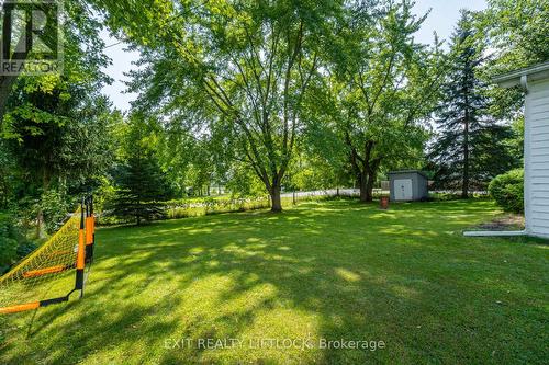 6 Woods Avenue, Kawartha Lakes, ON - Outdoor