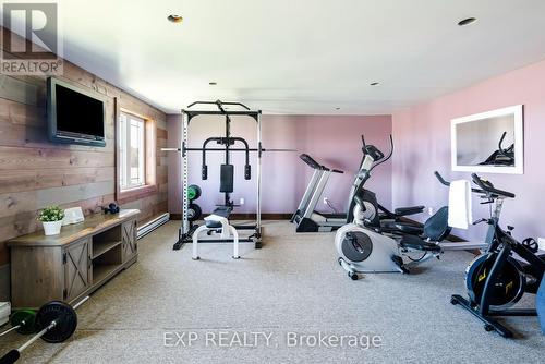 295089 8Th Line, Amaranth, ON - Indoor Photo Showing Gym Room