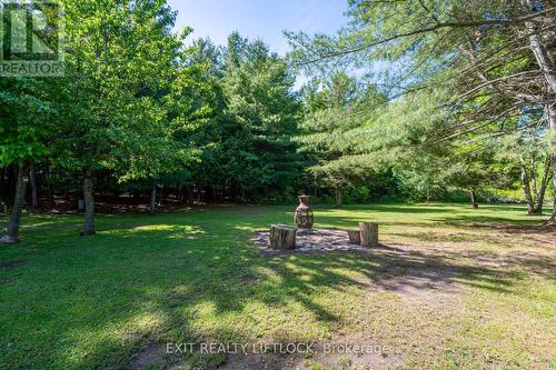 677 Golf Course Road, Douro-Dummer, ON - Outdoor