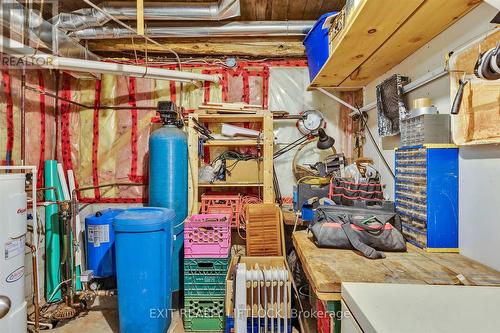 51 Buckhorn Narrows Road, Galway-Cavendish And Harvey, ON - Indoor Photo Showing Basement