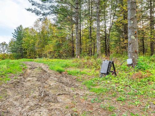 Land/Lot - 58 Ch. Taylor, Austin, QC - Outdoor