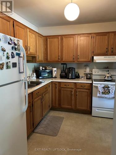 102 - 920 Ford Street, Peterborough (Monaghan), ON - Indoor Photo Showing Kitchen With Double Sink