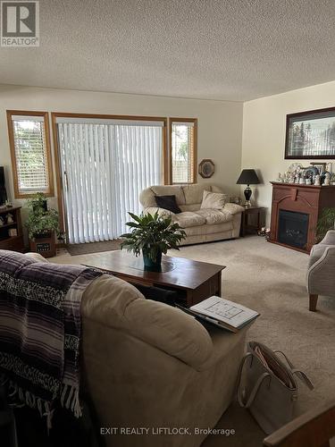 102 - 920 Ford Street, Peterborough (Monaghan), ON - Indoor Photo Showing Living Room With Fireplace