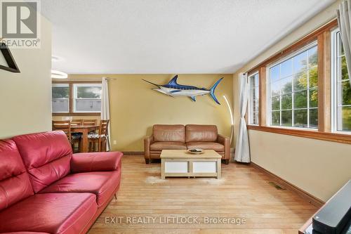 647 Bellaire Street, Peterborough (Otonabee), ON - Indoor Photo Showing Living Room