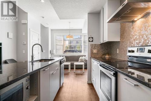 419 Saddlemont Boulevard Ne, Calgary, AB - Indoor Photo Showing Kitchen With Upgraded Kitchen