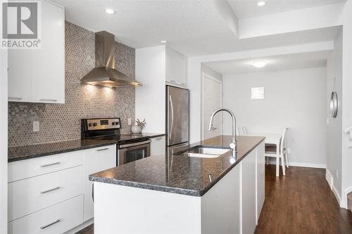 419 Saddlemont Boulevard Ne, Calgary, AB - Indoor Photo Showing Kitchen With Double Sink With Upgraded Kitchen