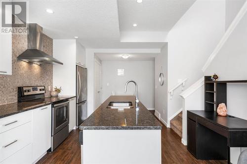 419 Saddlemont Boulevard Ne, Calgary, AB - Indoor Photo Showing Kitchen With Double Sink With Upgraded Kitchen