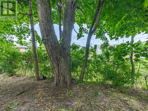 23 - 21 Rockwood Drive, Toronto (Cliffcrest), ON - Outdoor