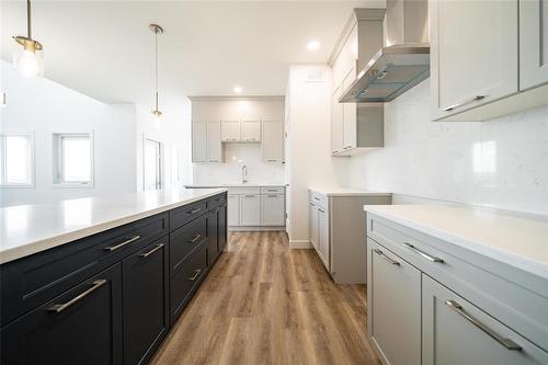 35 Chimney Swift Way, St Adolphe, MB - Indoor Photo Showing Kitchen With Upgraded Kitchen