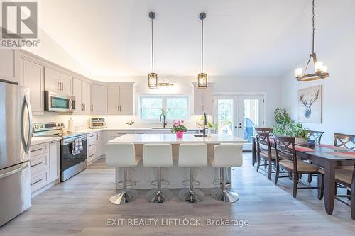 572 Sixth Line, Havelock-Belmont-Methuen, ON - Indoor Photo Showing Kitchen With Upgraded Kitchen