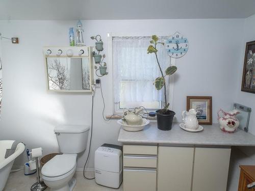 1009 Frederica Street W, Thunder Bay, ON - Indoor Photo Showing Bathroom