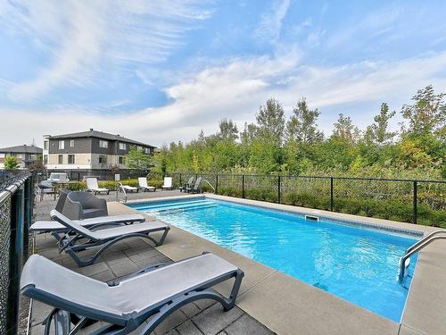 Piscine - 403-130 Av. De La Belle-Dame, La Prairie, QC - Outdoor With In Ground Pool With Backyard